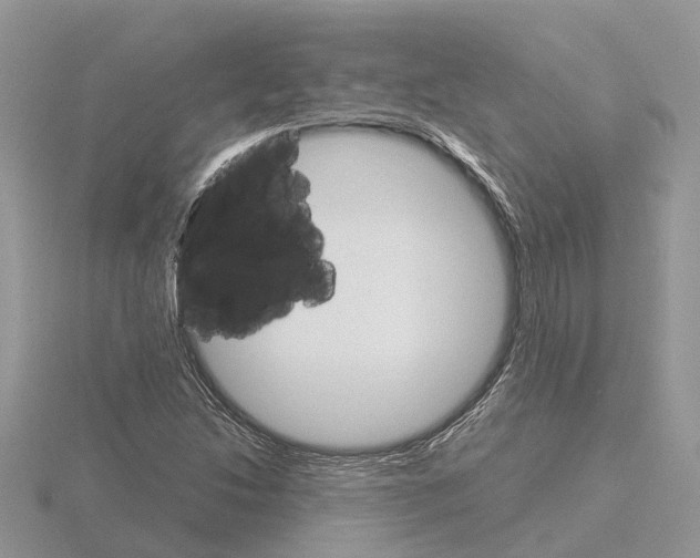 X0000115701214200912101208