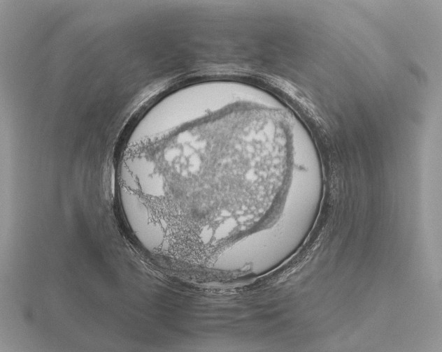 X0000115701221200912101208