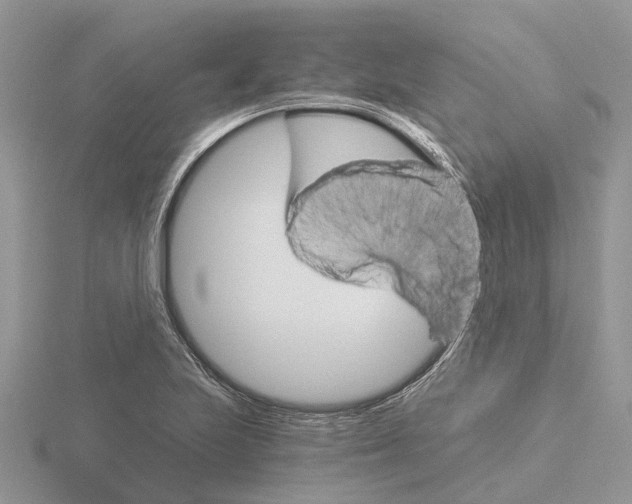 X0000115701223200912101208