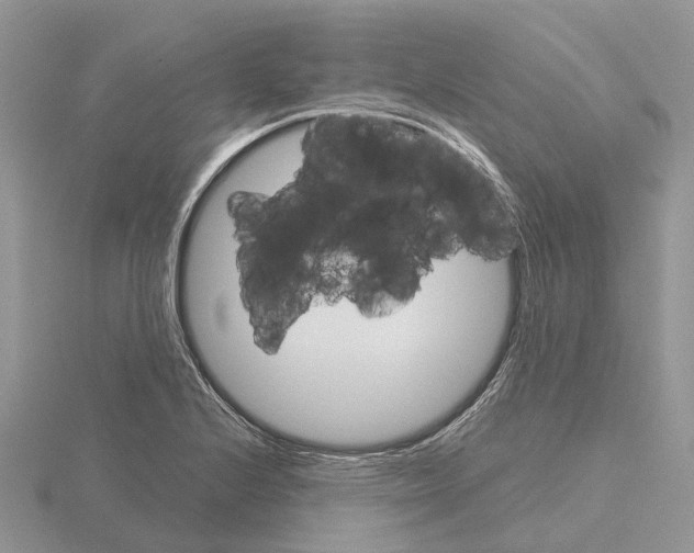 X0000115701224200912101208