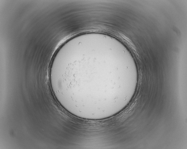 X0000115701226200912101208