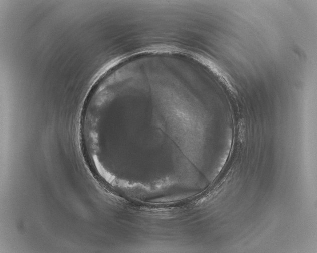 X0000115701229200912101208