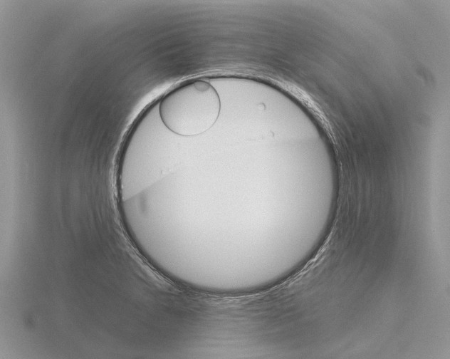 X0000115701230200912101208