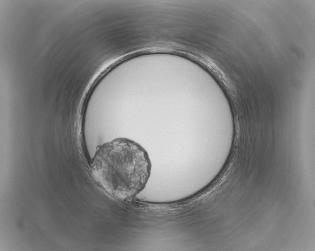 X0000115701232200912101208