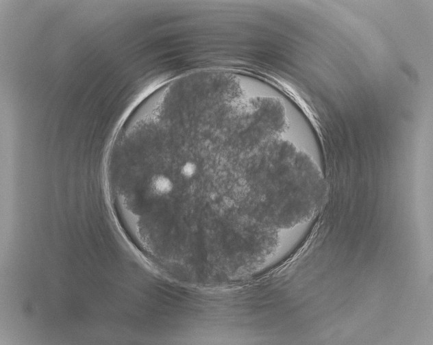 X0000115701235200912101208