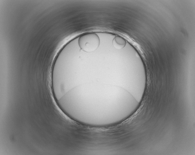 X0000115701239200912101208