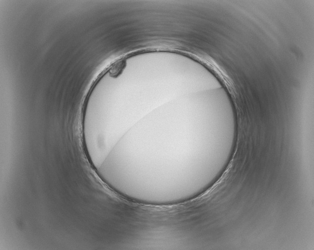 X0000115701240200912101208