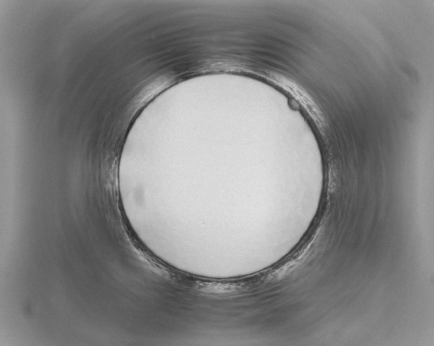 X0000115701241200912101208