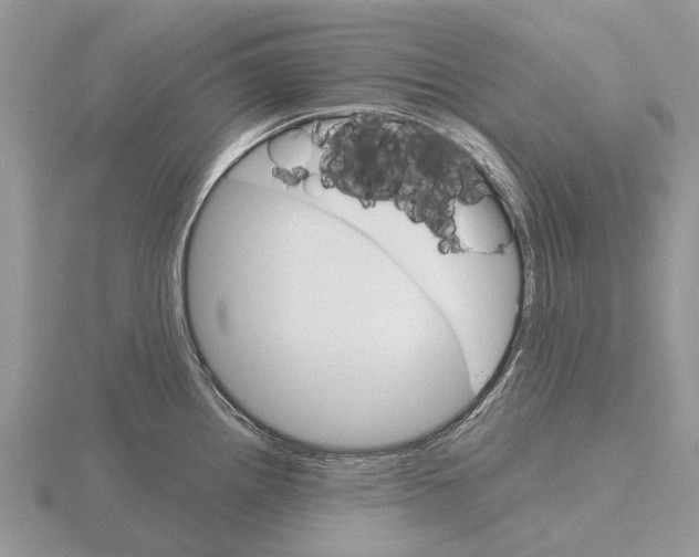 X0000115701242200912101208