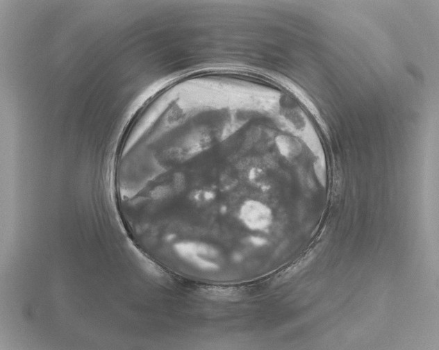 X0000115701245200912101208