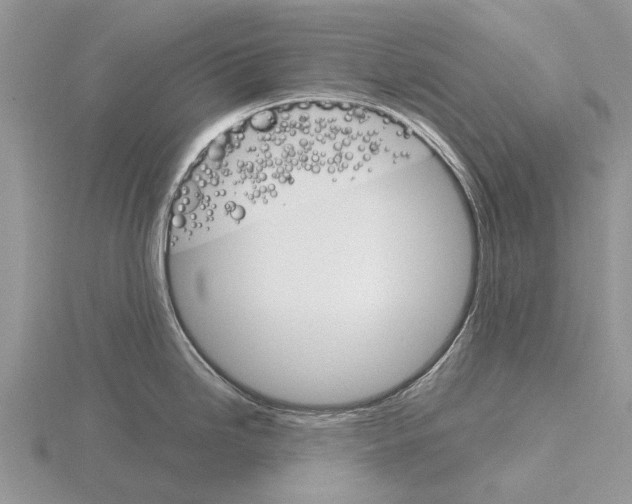 X0000115701246200912101208