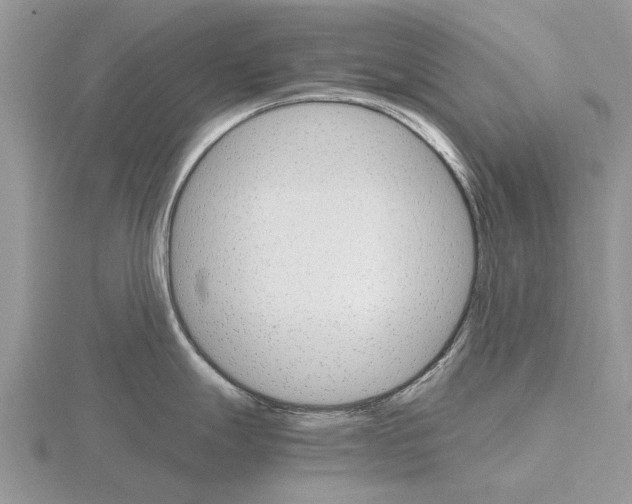 X0000115701247200912101208