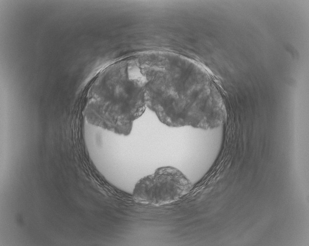 X0000115701255200912101207