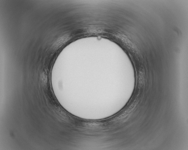 X0000115701257200912101207