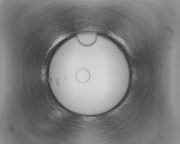 X0000115701258200912101207