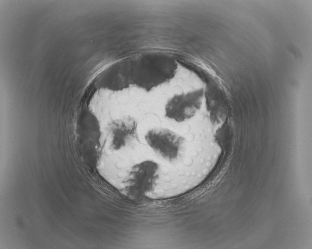 X0000115701259200912101207