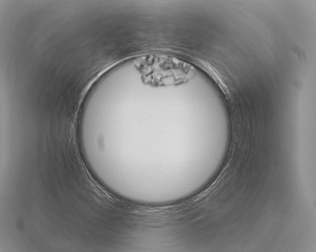 X0000115701260200912101207