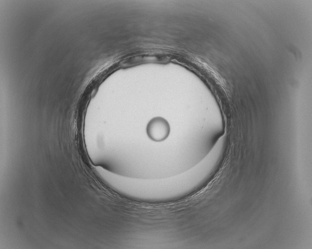 X0000115701261200912101207