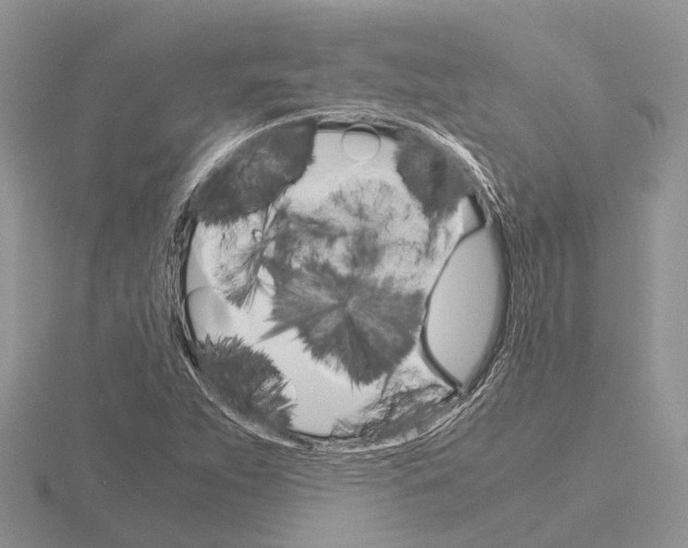 X0000115701263200912101207