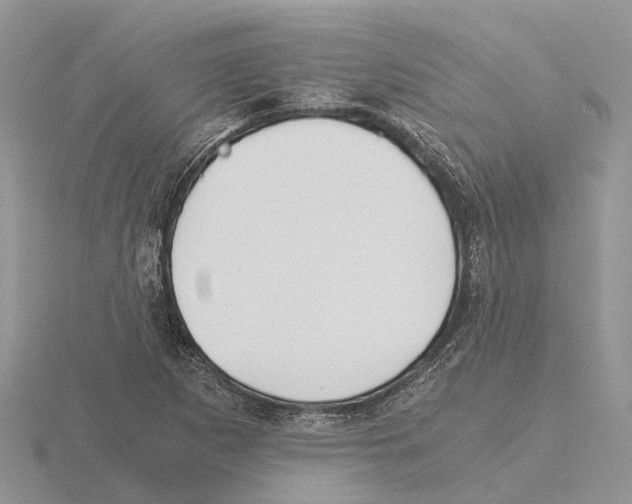 X0000115701265200912101207