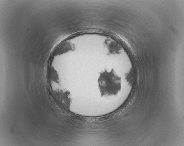 X0000115701267200912101207