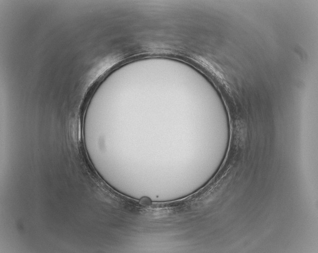 X0000115701269200912101207