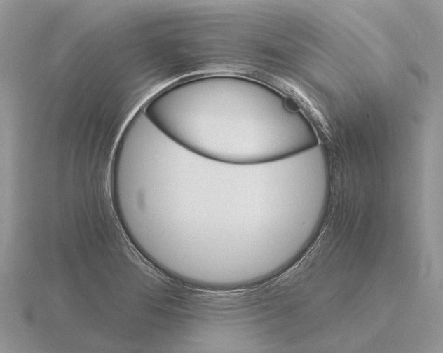 X0000115701276200912101207