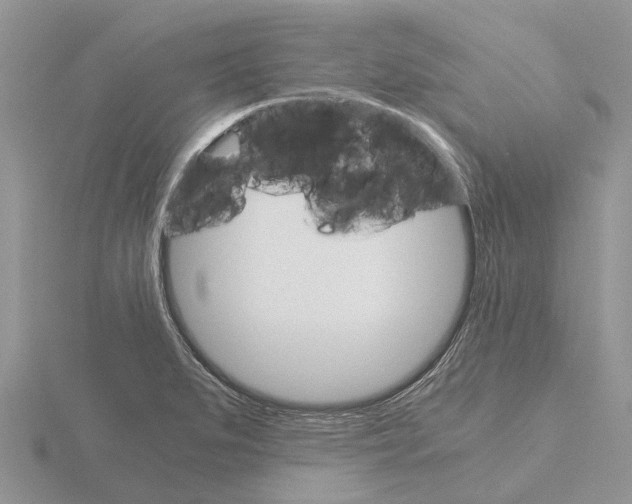 X0000115701279200912101207