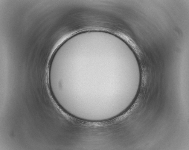 X0000115701286200912101207