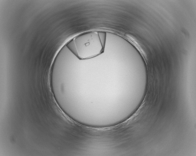 X0000115701292200912101207