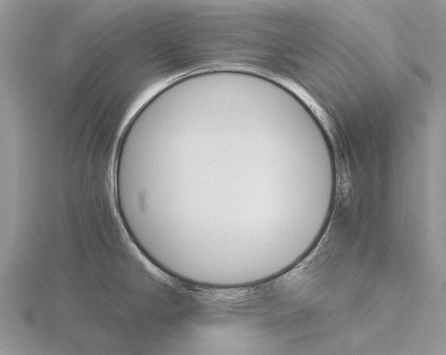 X0000115701294200912101207