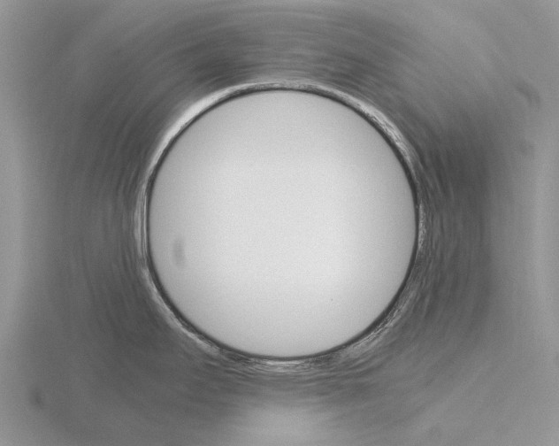 X0000115701295200912101207