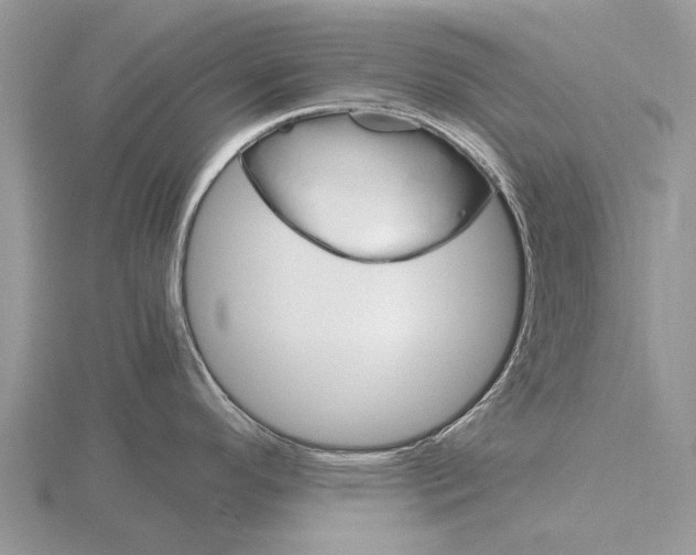 X0000115701296200912101207