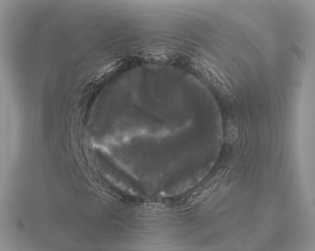 X0000115701297200912101206