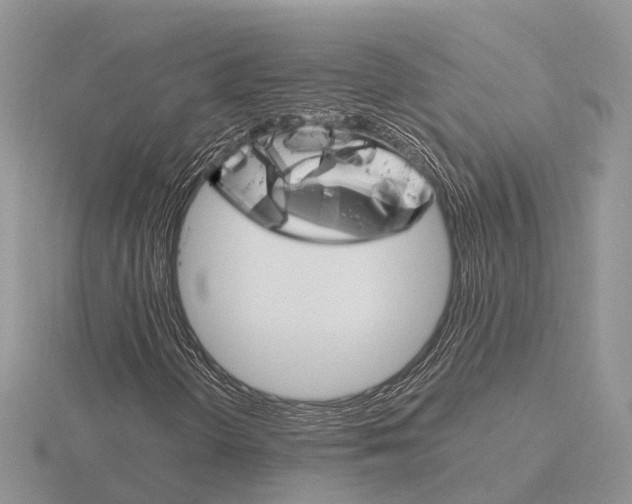 X0000115701298200912101206