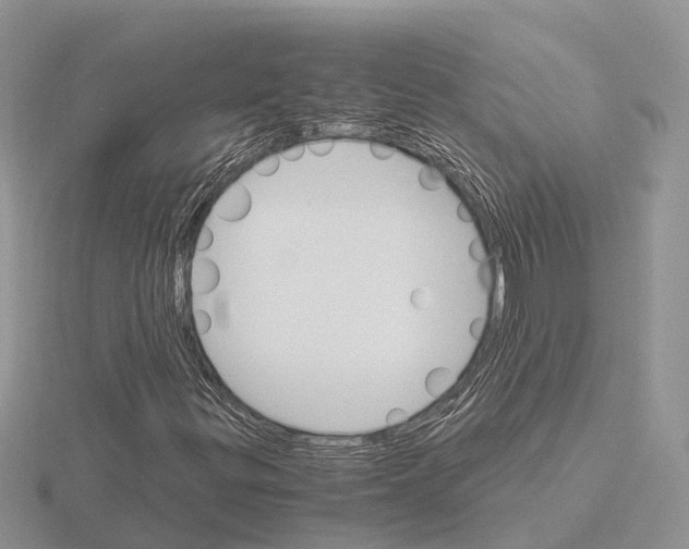 X0000115701299200912101206