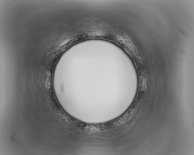 X0000115701301200912101206