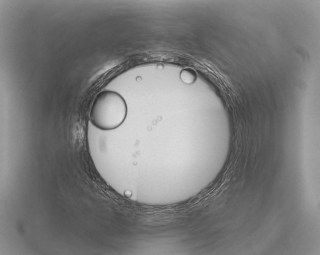 X0000115701302200912101206