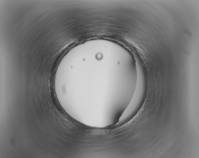 X0000115701305200912101206