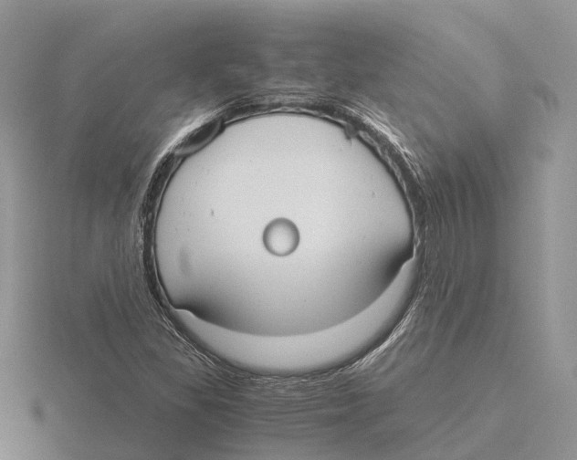 X0000115701309200912101206