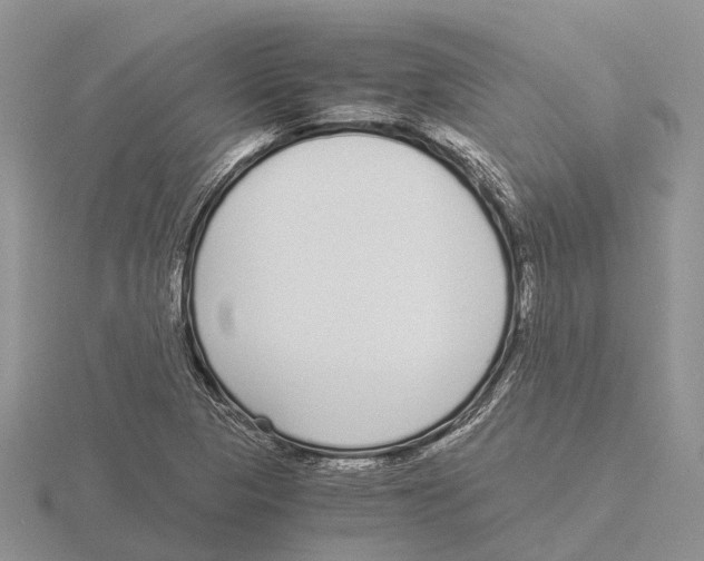 X0000115701313200912101206