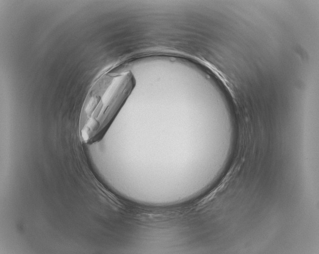 X0000115701314200912101206