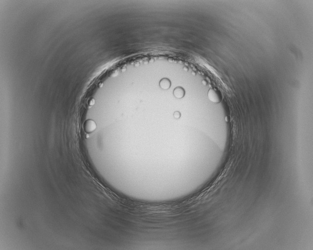 X0000115701315200912101206