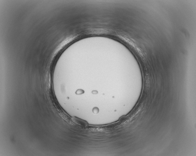 X0000115701317200912101206