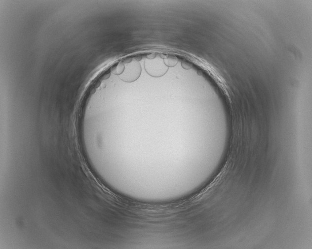 X0000115701318200912101206