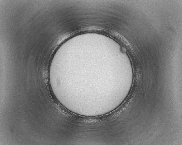 X0000115701321200912101206