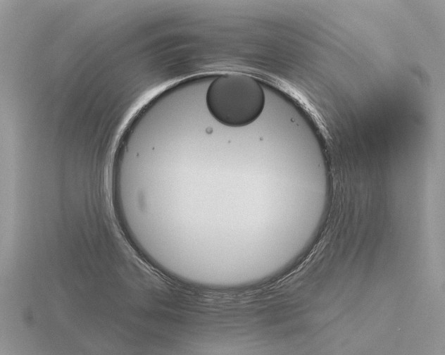 X0000115701323200912101206