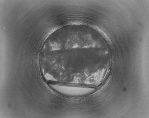 X0000115701329200912101206