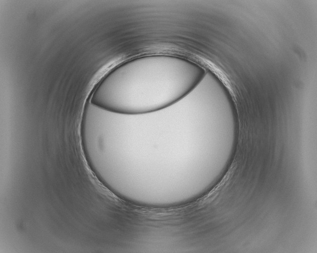 X0000115701330200912101206