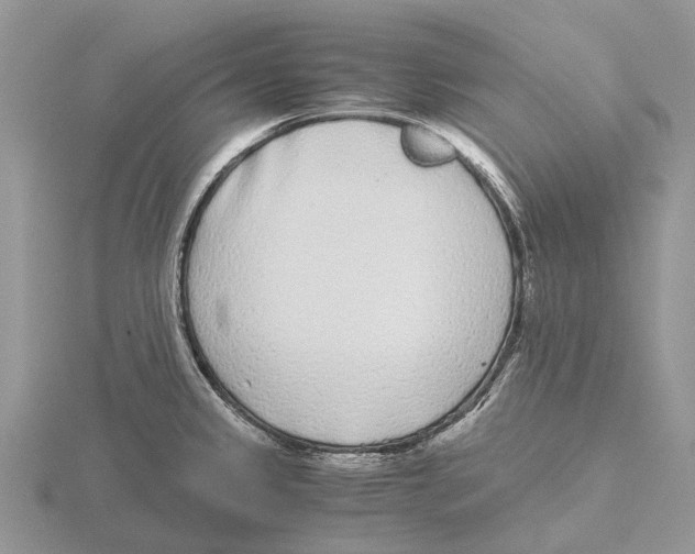 X0000115701333200912101206